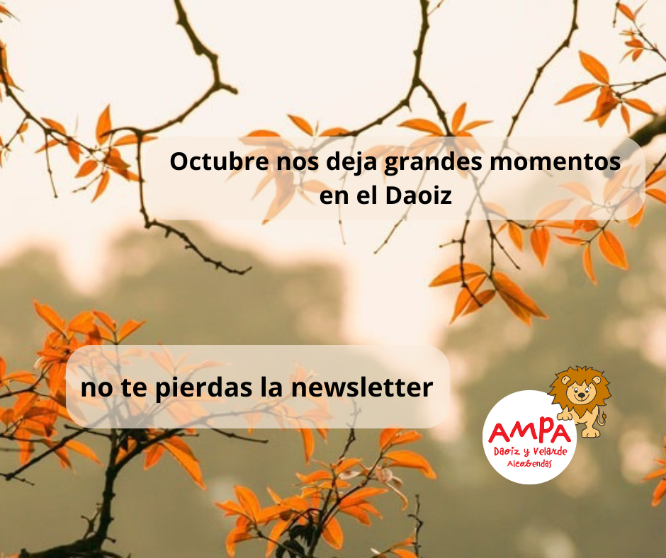 Newsletter Octubre 2025